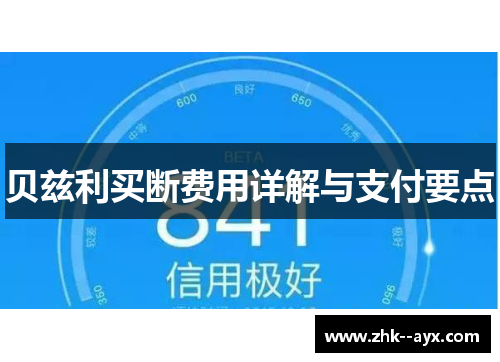 贝兹利买断费用详解与支付要点