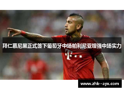 拜仁慕尼黑正式签下葡萄牙中场帕利尼亚增强中场实力